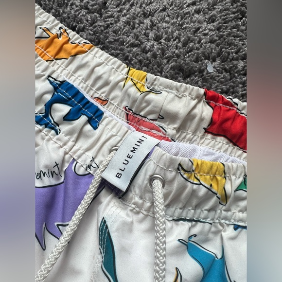 Bluemint Swim Trunks BRAND NEW! - Picture 3 of 4